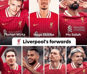 南宫28-萨拉赫新星绝杀表现惊艳，德国队未来可期！的简单介绍