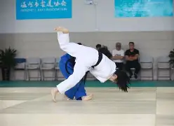 柔道夜战:中原灰熊队强势横扫岭南貔貅队,速度优势明显节奏掌控在手的简单介绍 柔道夜战:中原灰熊队强势横扫岭南貔貅队,速度优势明显节奏掌控在手的简单介绍